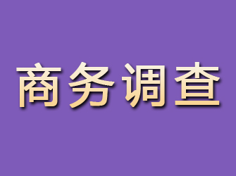 兰山商务调查